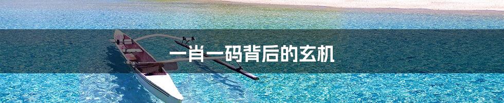 一肖一码背后的玄机