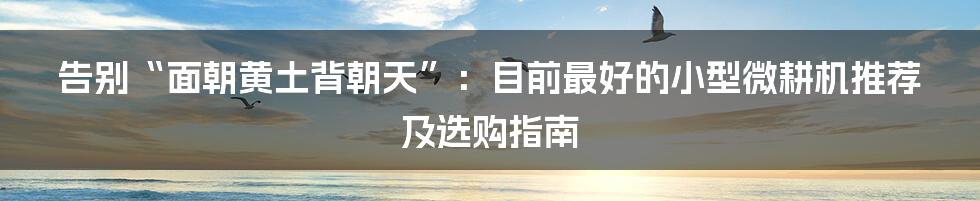 告别“面朝黄土背朝天”：目前最好的小型微耕机推荐及选购指南