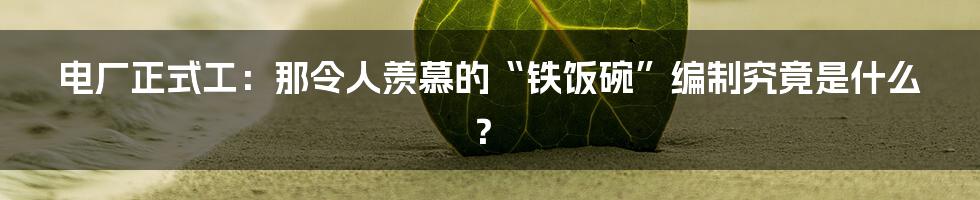 电厂正式工:那令人羡慕的“铁饭碗”编制究竟是什么?