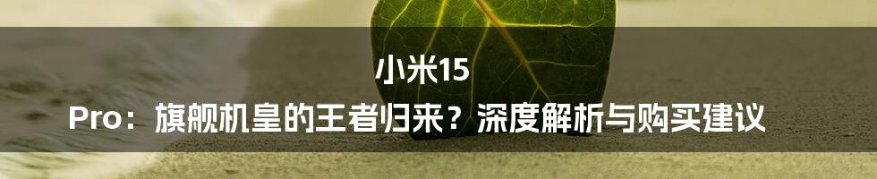 小米15 Pro:旗舰机皇的王者归来?深度解析与购买建议