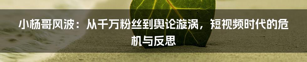 小杨哥风波:从千万粉丝到舆论漩涡,短视频时代的危机与反思