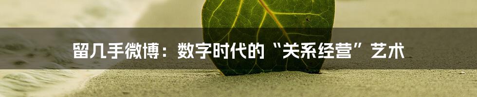 留几手微博:数字时代的“关系经营”艺术