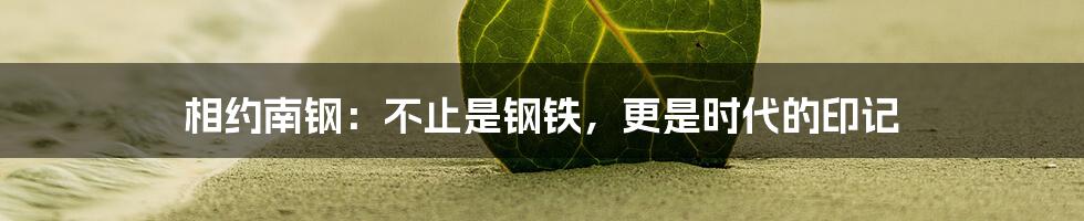 相约南钢:不止是钢铁,更是时代的印记