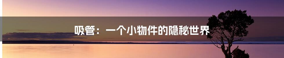 吸管：一个小物件的隐秘世界
