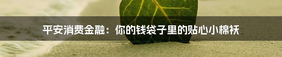 平安消费金融:你的钱袋子里的贴心小棉袄
