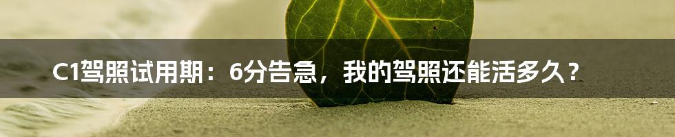 C1驾照试用期：6分告急，我的驾照还能活多久？