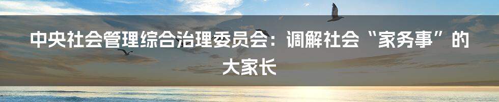 中央社会管理综合治理委员会：调解社会“家务事”的大家长