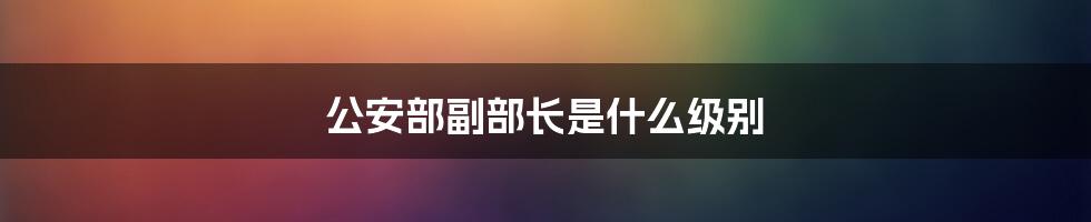 公安部副部长是什么级别