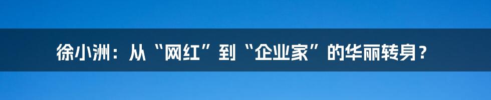 徐小洲:从“网红”到“企业家”的华丽转身?