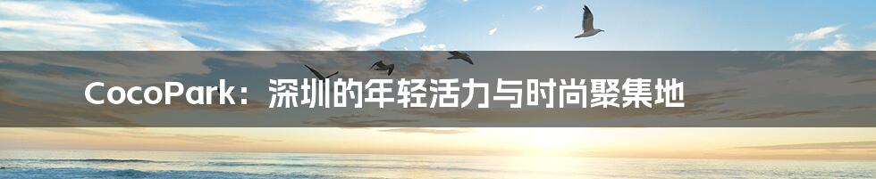 CocoPark:深圳的年轻活力与时尚聚集地