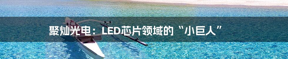 聚灿光电:LED芯片领域的“小巨人”