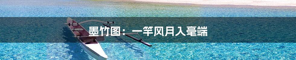 墨竹图:一竿风月入毫端