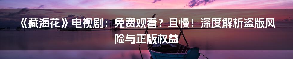 《藏海花》电视剧:免费观看?且慢!深度解析盗版风险与正版权益