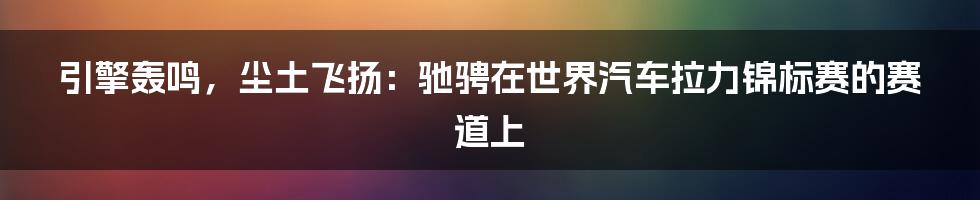 引擎轰鸣，尘土飞扬：驰骋在世界汽车拉力锦标赛的赛道上