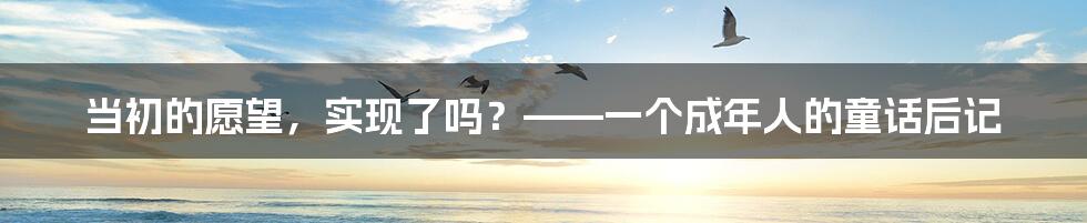 当初的愿望,实现了吗?——一个成年人的童话后记