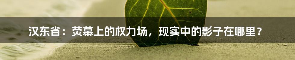 汉东省:荧幕上的权力场,现实中的影子在哪里?