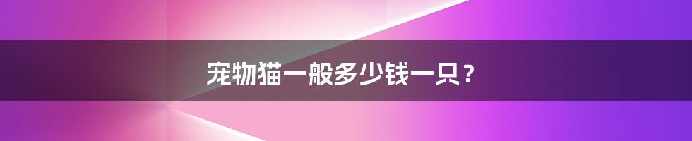 宠物猫一般多少钱一只?