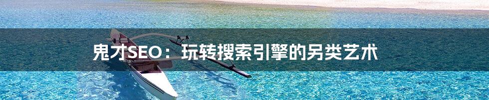 鬼才SEO：玩转搜索引擎的另类艺术