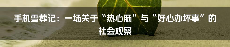 手机雪葬记：一场关于“热心肠”与“好心办坏事”的社会观察