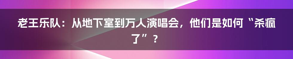 老王乐队:从地下室到万人演唱会,他们是如何“杀疯了”?