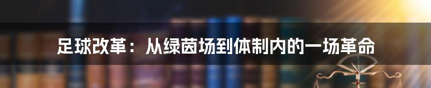 足球改革:从绿茵场到体制内的一场革命