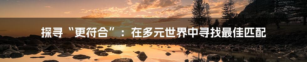 探寻“更符合”:在多元世界中寻找最佳匹配