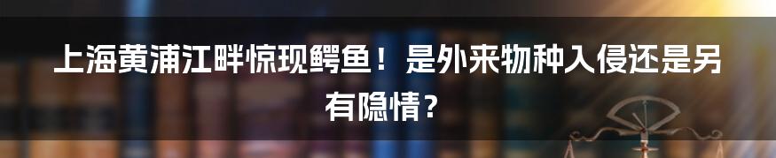 上海黄浦江畔惊现鳄鱼！是外来物种入侵还是另有隐情？