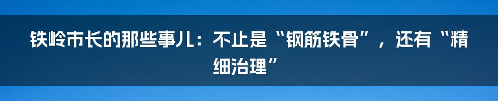 铁岭市长的那些事儿:不止是“钢筋铁骨”,还有“精细治理”