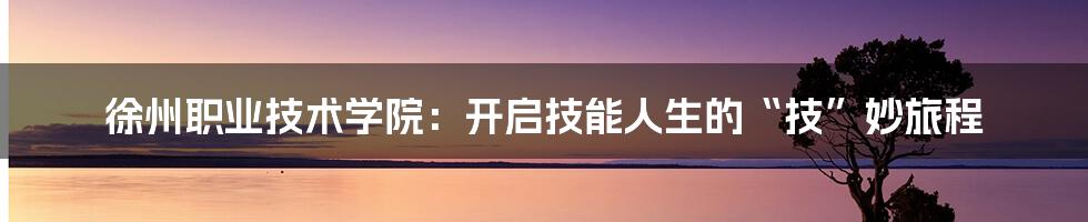 徐州职业技术学院:开启技能人生的“技”妙旅程