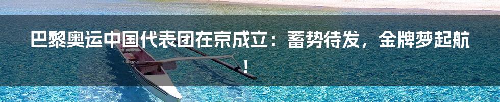 巴黎奥运中国代表团在京成立：蓄势待发，金牌梦起航！