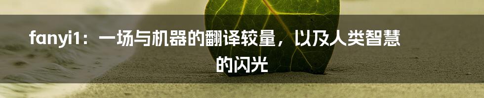 fanyi1：一场与机器的翻译较量，以及人类智慧的闪光