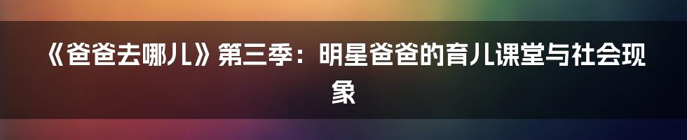 《爸爸去哪儿》第三季:明星爸爸的育儿课堂与社会现象