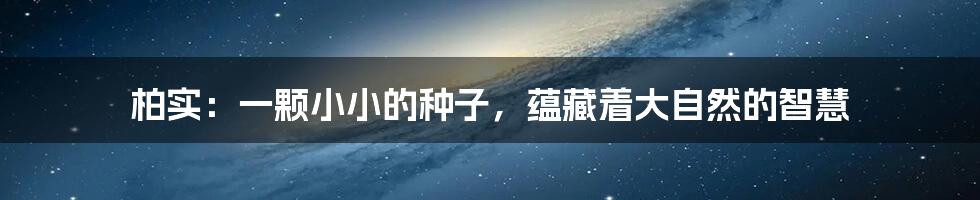 柏实：一颗小小的种子，蕴藏着大自然的智慧