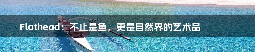 Flathead:不止是鱼,更是自然界的艺术品