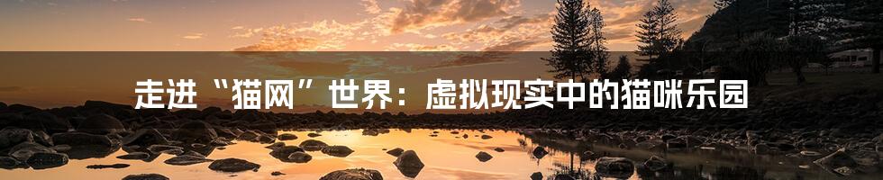 走进“猫网”世界:虚拟现实中的猫咪乐园