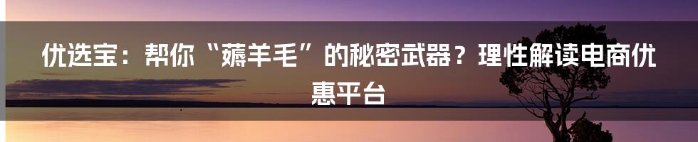 优选宝：帮你“薅羊毛”的秘密武器？理性解读电商优惠平台