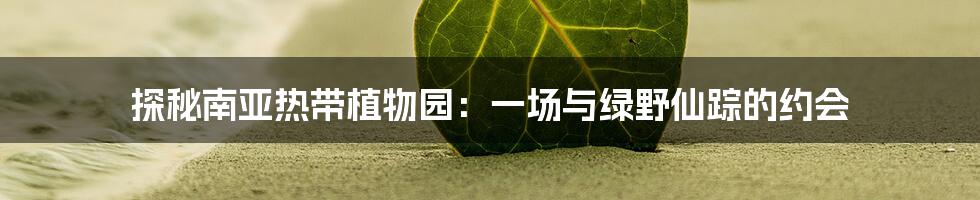 探秘南亚热带植物园:一场与绿野仙踪的约会
