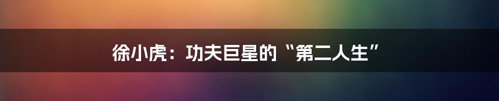 徐小虎:功夫巨星的“第二人生”