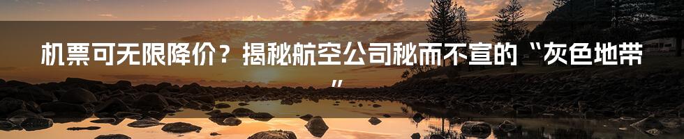 机票可无限降价?揭秘航空公司秘而不宣的“灰色地带”