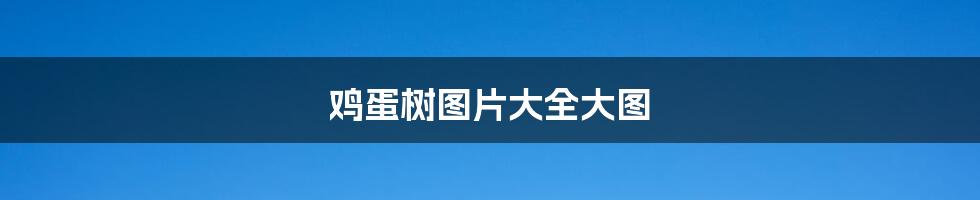 鸡蛋树图片大全大图