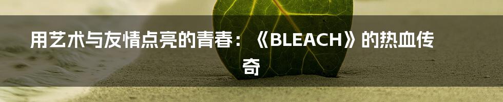 用艺术与友情点亮的青春:《BLEACH》的热血传奇