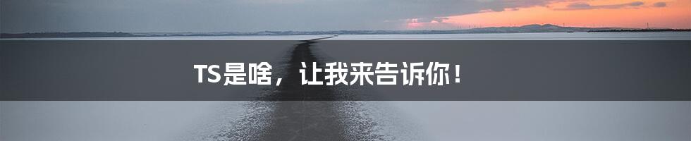 TS是啥，让我来告诉你！