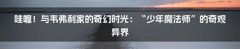 哇喔！与韦弗利家的奇幻时光：“少年魔法师”的奇观异界