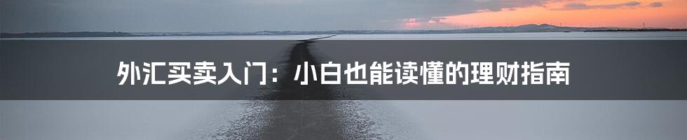 外汇买卖入门:小白也能读懂的理财指南