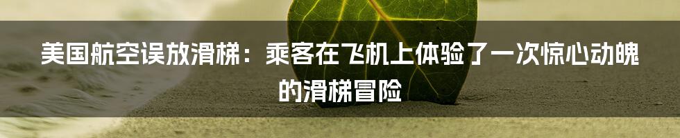 美国航空误放滑梯:乘客在飞机上体验了一次惊心动魄的滑梯冒险
