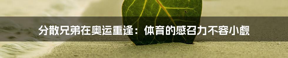 分散兄弟在奥运重逢:体育的感召力不容小觑