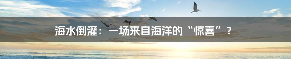 海水倒灌:一场来自海洋的“惊喜”?
