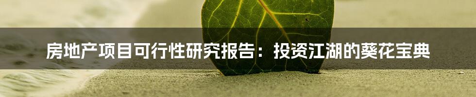 房地产项目可行性研究报告：投资江湖的葵花宝典