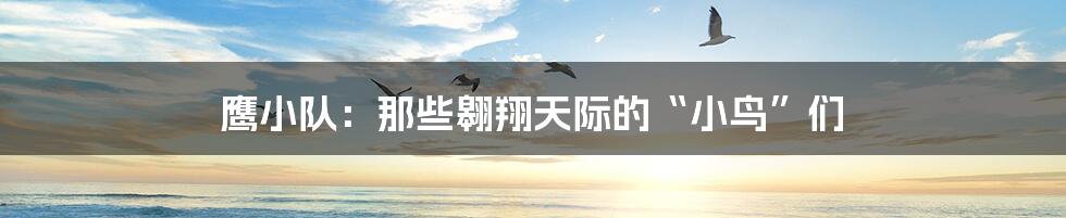 鹰小队:那些翱翔天际的“小鸟”们