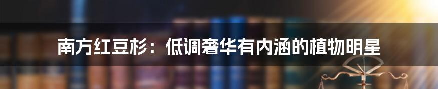 南方红豆杉:低调奢华有内涵的植物明星
